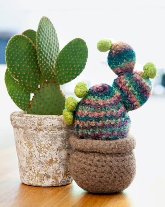 Small crochet cactus
Show details